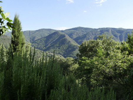 Maison 109 000 €  sur Malarce sur la Thines (07140) - Réf. 5872