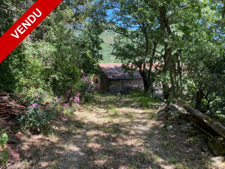 Maison 155 000 €  sur Pied de Borne (48800) - Réf. 6040