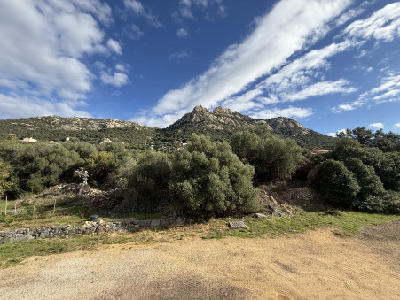 A vendre appartement Lumio 20260; 430 000 €