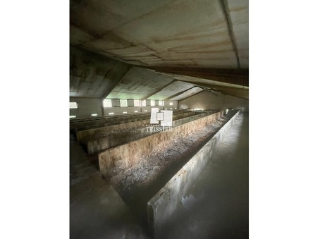 Local 119 000 €  Réf. 6468 Les Assions