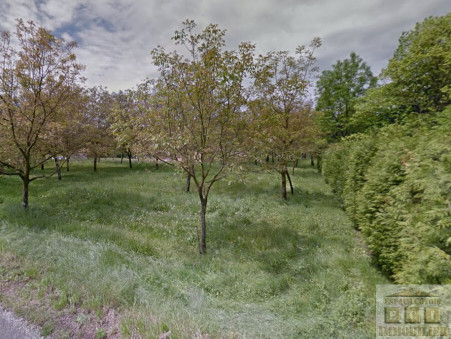 Achat terrain La Riviere Réf. 1701