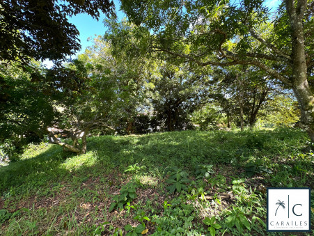 Terrain sur Le Francois ; 234 000 €  ; Vente Réf. CAR223