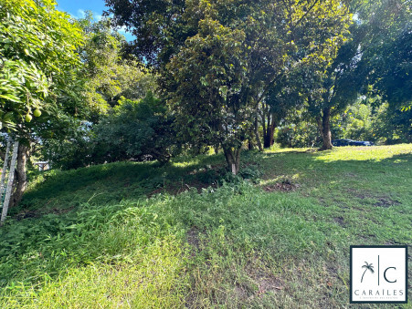 Terrain sur Le Francois ; 234 000 €  ; Vente Réf. CAR223