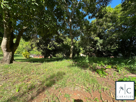 Terrain 234 000 €  Réf. CAR223 Le Francois