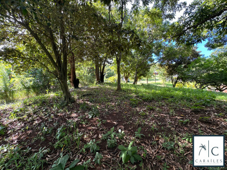 Terrain 234 000 €  sur Le Francois (97240) - Réf. CAR223