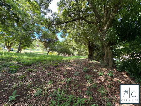 Terrain 234 000 €  sur Le Francois (97240) - Réf. CAR223