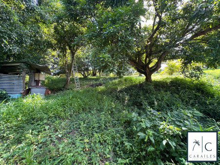 Vente terrain 234 000 €  Le Francois