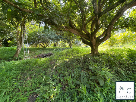 Achat terrain Le Francois Réf. CAR223