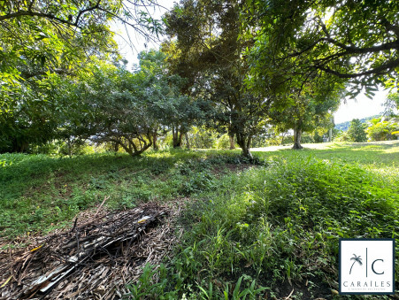 Vente terrain 234 000 €  Le Francois