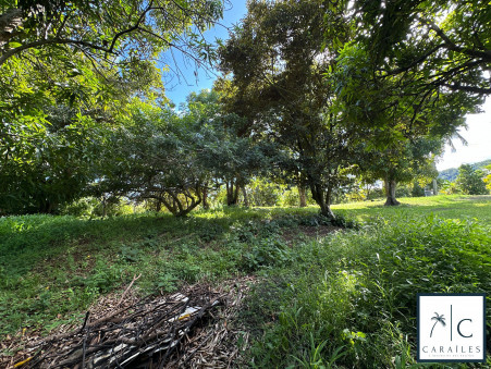 Terrain 234 000 €  sur Le Francois (97240) - Réf. CAR223
