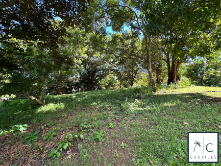 Vente terrain 234 000 €  Le Francois