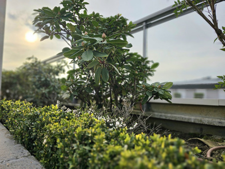 A vendre appartement Reims 51100; 997 000 € 