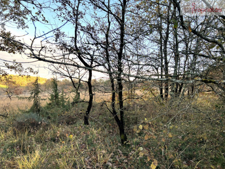 Vente terrain 249 600 &euro; Aulon