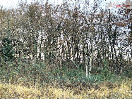 Terrain 249 600 &euro; Réf. 4568-nk Aulon