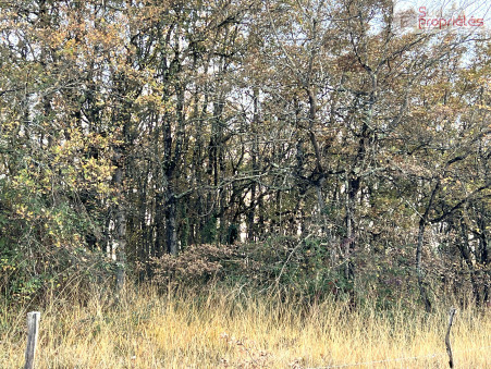 Vente terrain 249 600 &euro; Aulon