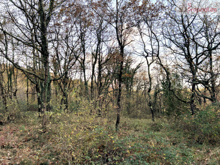 Achat terrain Aulon Réf. 4568-nk