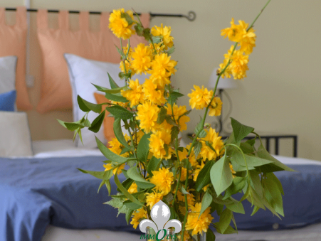 Vente maison 295 000 €  Sennecey le Grand