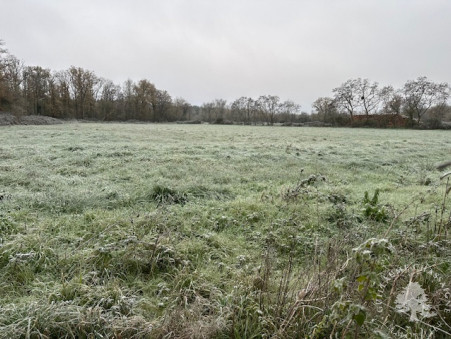 Maison sur Saint Eloy de Gy ; 159 000 &euro; ; Achat Réf. 1517