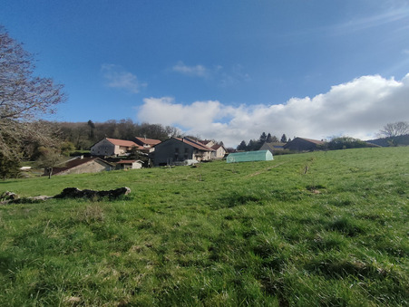 Achat maison Plateau d'Hauteville Réf. 38_LYALAL