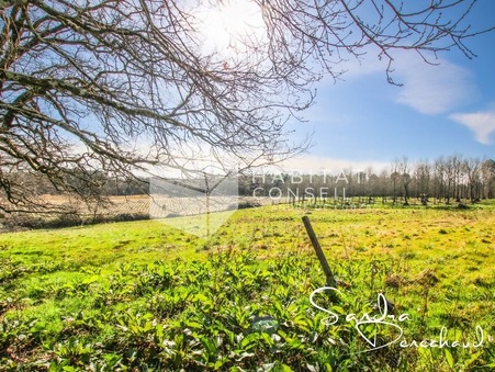 Maison sur Cavignac ; 399 000 &euro; ; A vendre Réf. 1764-HABITATCONSEILG_1764