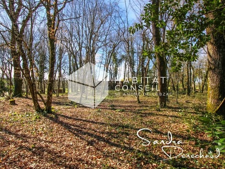 A vendre maison Cavignac 33620; 399 000 &euro;