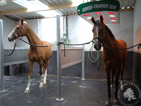 Achat chateau Bourges Réf. 1518