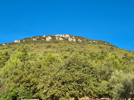 A vendre land Cuers 83390; € 1 460 000 