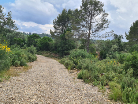 Vente land € 1 460 000  Cuers