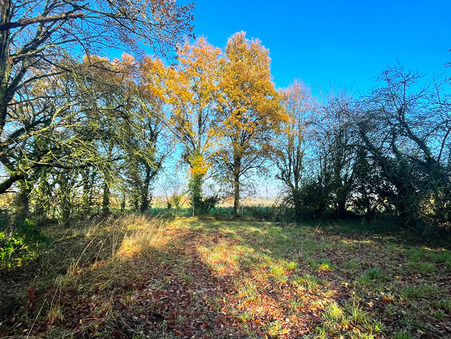 Maison 204 500 &euro; sur Irodouer (35850) - Réf. 11793