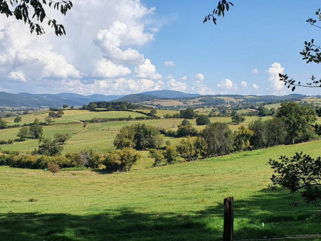 A vendre propriété Chiddes 58170; 700 000 &euro; 