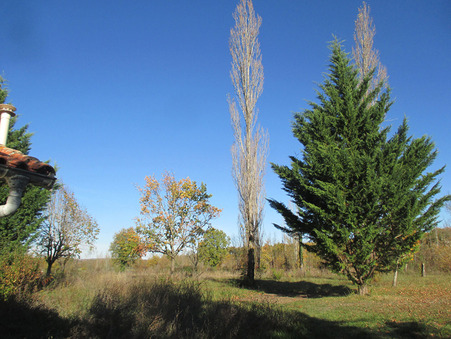 Maison sur Septfonds ; 155 000 &euro;  ; Achat Réf. 14050