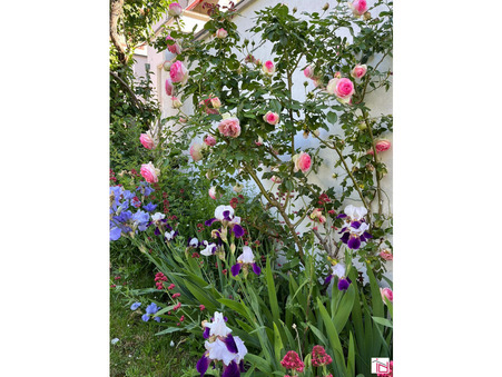 Vente Maison Saint Louis Réf. 6085-IMMODUCHESNE_6085 - Slide 20