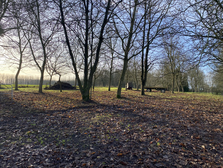 Achat maison Cambrai Réf. 1_10664_GL