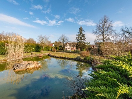 Achat maison Paley Réf. 215600