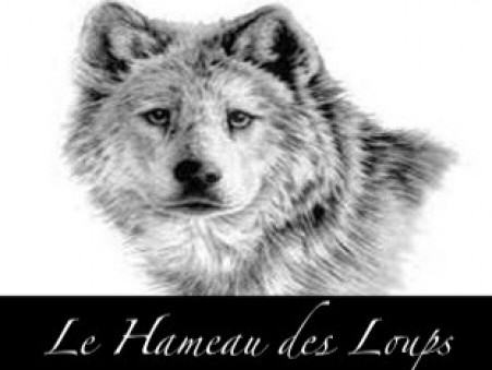 Maison 1 350 000 &euro;  sur La Plagne (73210) - Réf. 23037 B3