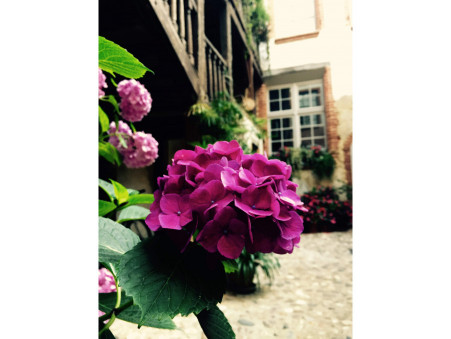 A vendre appartement Montauban 82000; 282 000 &euro; 