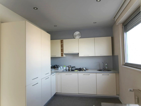 Appartement sur Mulhouse ; 524 &euro;  ; A louer Réf. 310