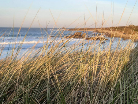 Terrain 134 026 &euro; sur Plouguerneau (29880) - Réf. 2558