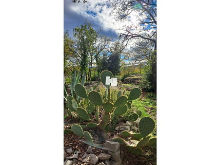 Terrain 64 500 &euro;  Réf. 6383 Les Vans