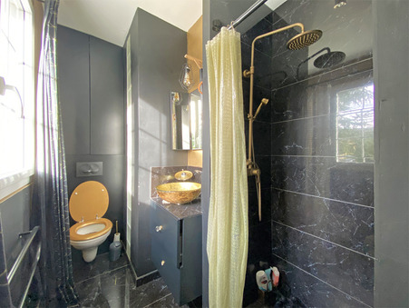 Maison 499 000 &euro;  Réf. CHAJE3298 Saint Genest Lerpt