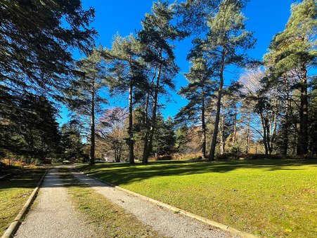 A vendre maison Planfoy 42660; 379 000 &euro; 