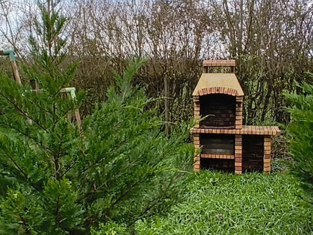 Maison sur Pierre de Bresse ; 156 000 &euro;  ; Vente Réf. 04925