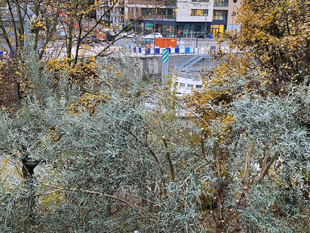 Location appartement Issy les Moulineaux Réf. 4723