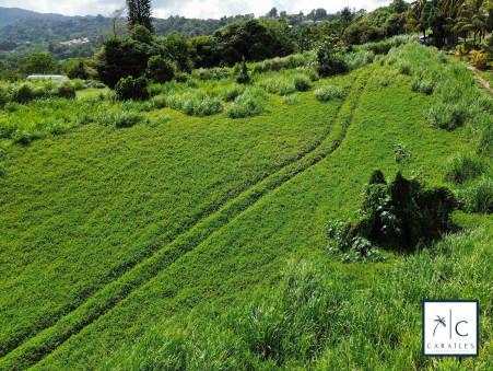 Achat terrain Le Lorrain Réf. CAR237
