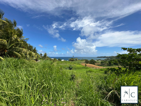 Terrain sur Le Lorrain ; 586 000 &euro;  ; Vente Réf. CAR237