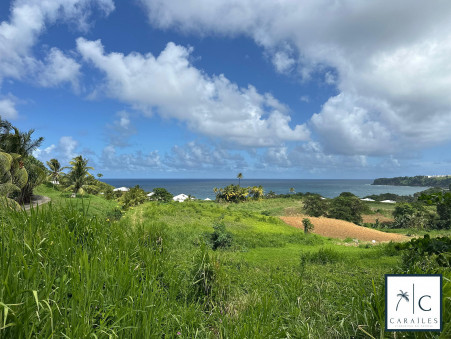 A vendre terrain Le Lorrain 97214; 586 000 &euro; 