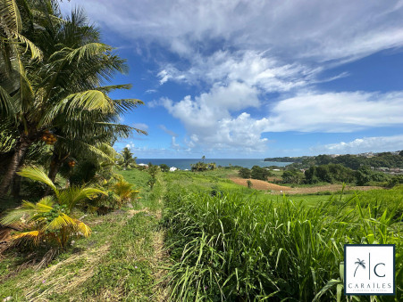 Terrain 586 000 &euro;  sur Le Lorrain (97214) - Réf. CAR237