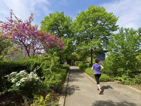 Vente appartement 423 000 &euro;  Paris