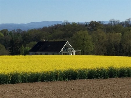 Location Appartement HEGENHEIM Réf. AWA982A - Slide 10