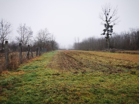 Achat maison Ouroux sur Saone Réf. 4950